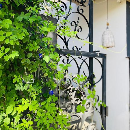 Apartament Casa Elsa Pipa Praia de Pipa Zewnętrze zdjęcie