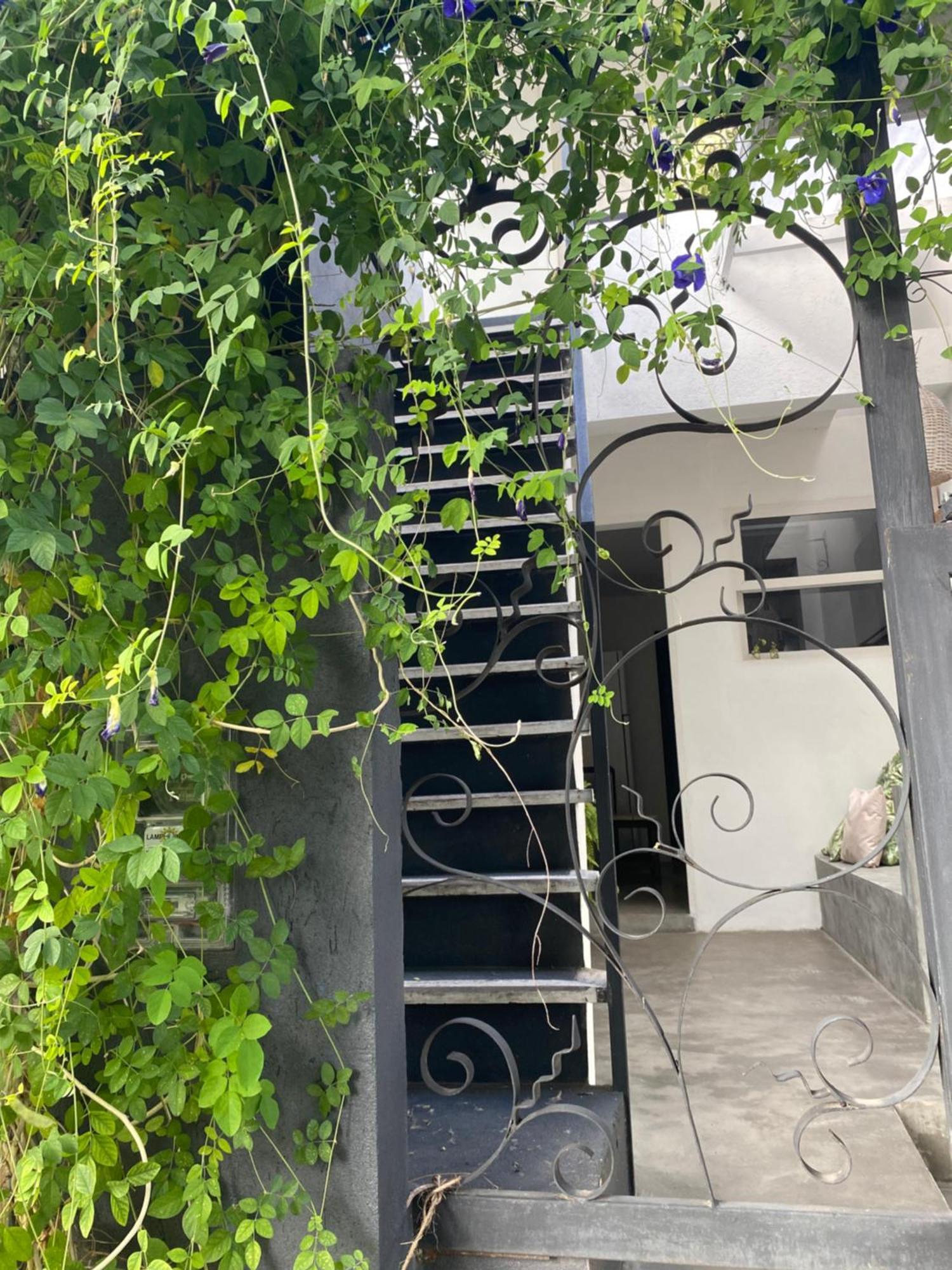 Apartament Casa Elsa Pipa Praia de Pipa Zewnętrze zdjęcie